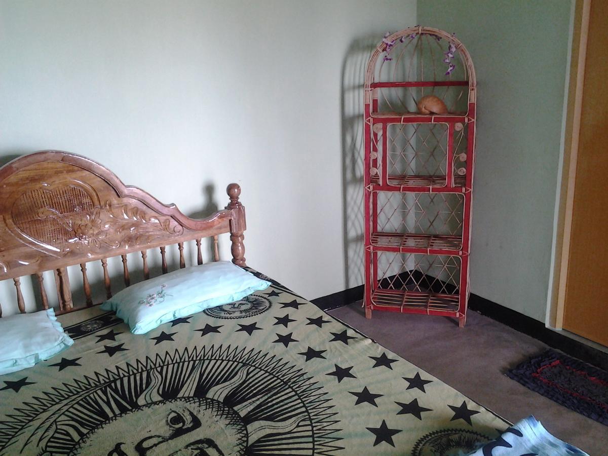 Hotel Dolphinchilling Alankuda Zewnętrze zdjęcie