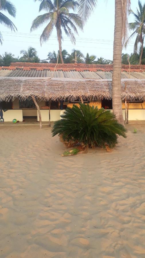 Hotel Dolphinchilling Alankuda Zewnętrze zdjęcie