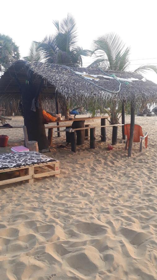 Hotel Dolphinchilling Alankuda Zewnętrze zdjęcie