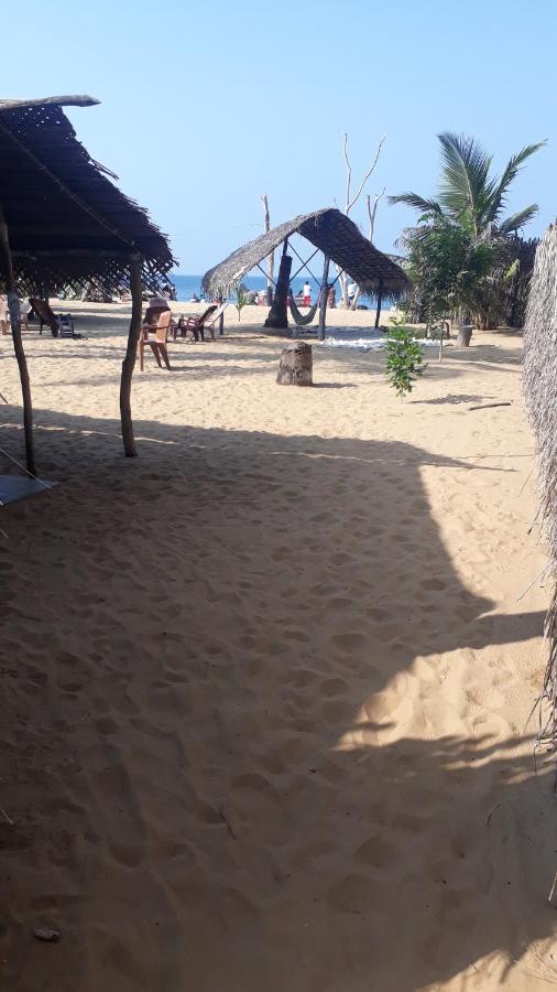 Hotel Dolphinchilling Alankuda Zewnętrze zdjęcie